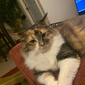 Meet your Posher, Kate